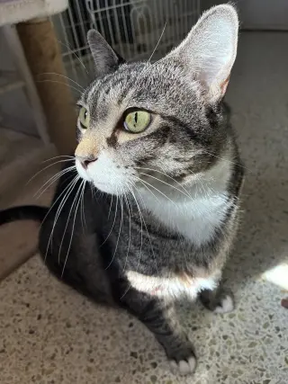 Zoe