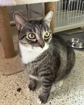 Zoe