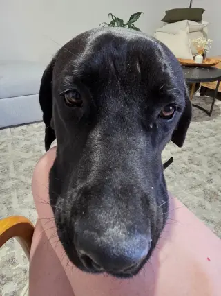 Mr. Bane