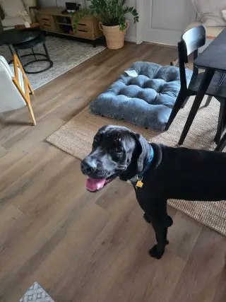 Mr. Bane