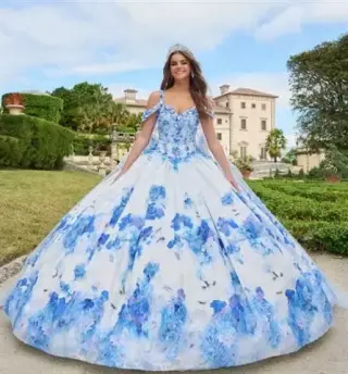 Elegancia en vestidos de XV👗
