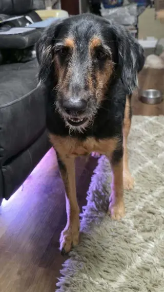 Molly Doo