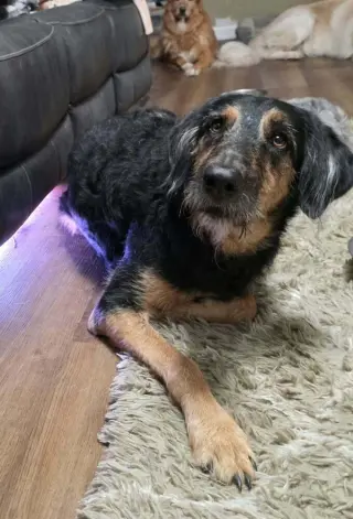 Molly Doo