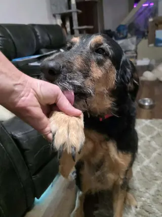 Molly Doo