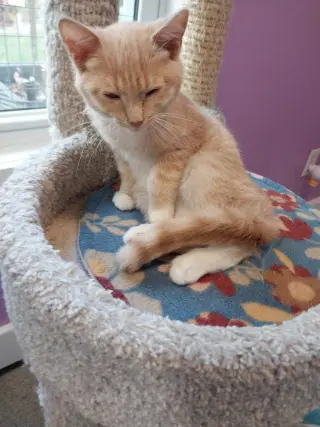 Syrup (formerly Justice)
