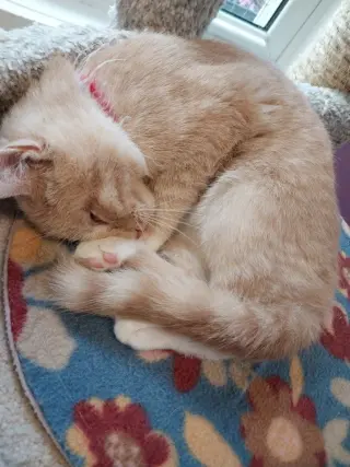 Syrup (formerly Justice)