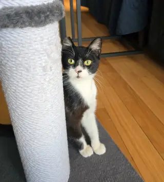 Jonesy