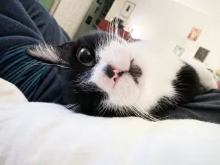 Jonesy
