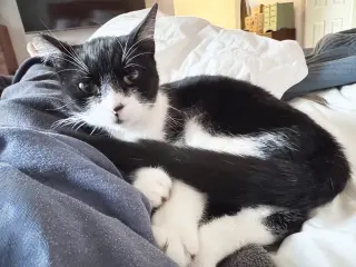 Jonesy
