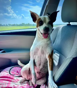 Beans- beautiful girl