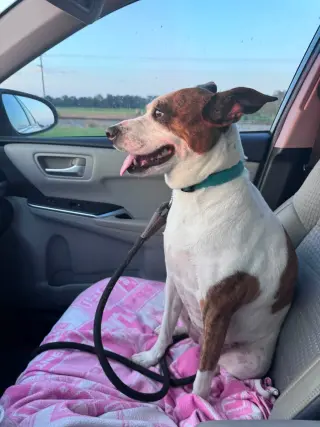 Beans- beautiful girl