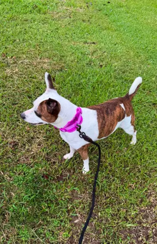 Beans- beautiful girl