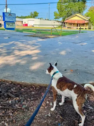 Beans- beautiful girl