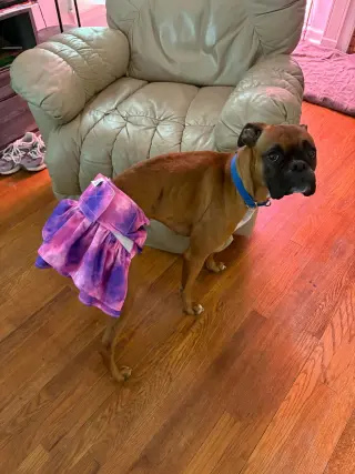Delilah