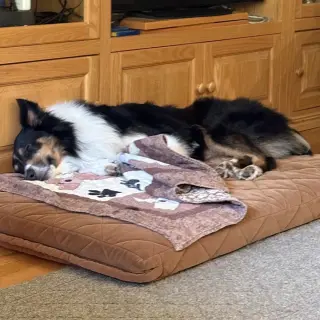 Sam