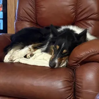 Sam