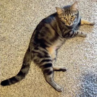 Lil' Mama
