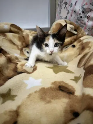 Winnie