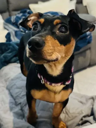 Mulan
