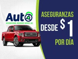 Auto International Insurance