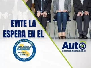 Auto International Insurance