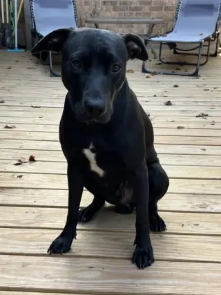 Max- In Foster