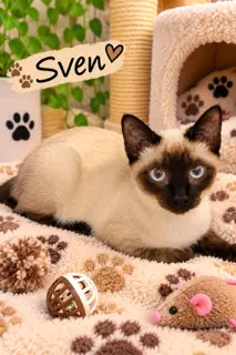Sven