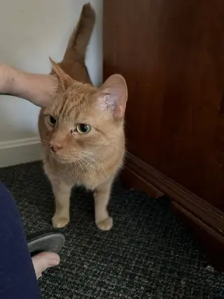 Moogi "Mo"