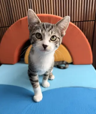 Skinny
