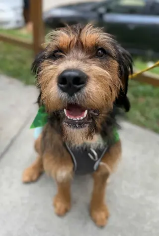 Walter