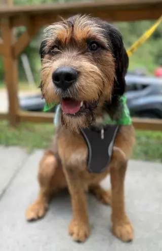 Walter