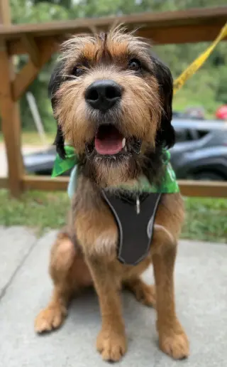Walter