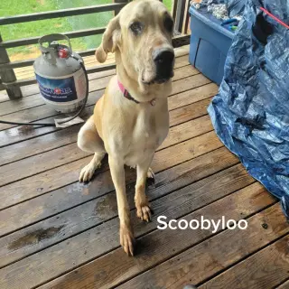 Luna Mae