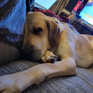 Luna Mae