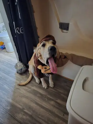 Luna Mae