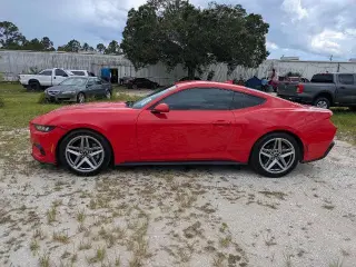 Ford Mustang 2024 EcoBoost 2dr Fastback