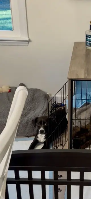 Pip