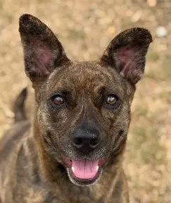 Kira Flor
