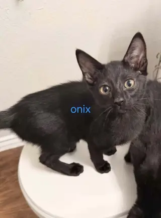 Onyx