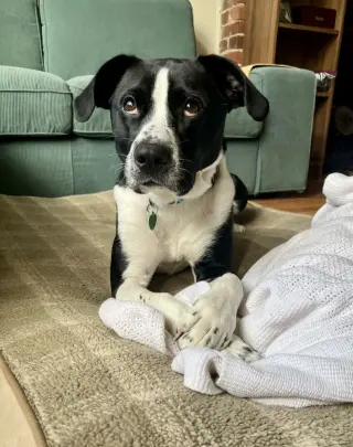 Jax