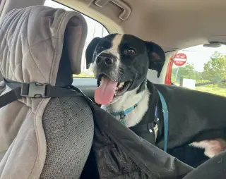 Jax