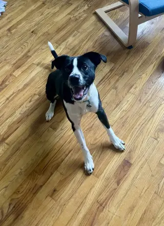 Jax