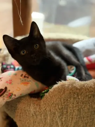 Lucky