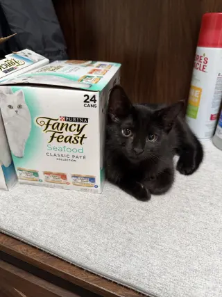 Lucky