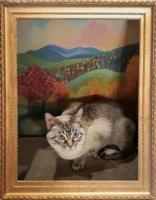 Emmy