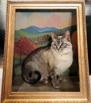 Emmy