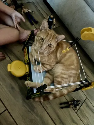 Pumpkin & Cheesy (Courtesy Post)