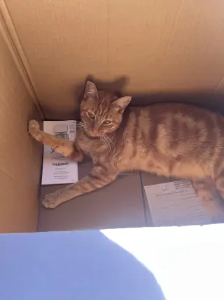 Pumpkin & Cheesy (Courtesy Post)