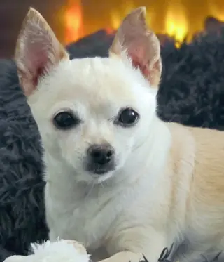 Milly
