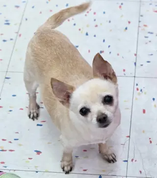 Milly